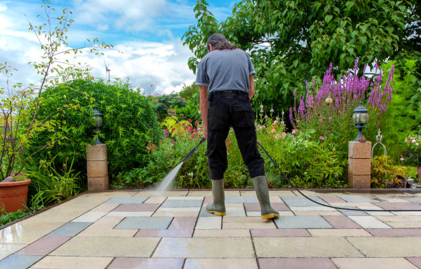 Best Residential Pressure Washing in Chatfield, MN